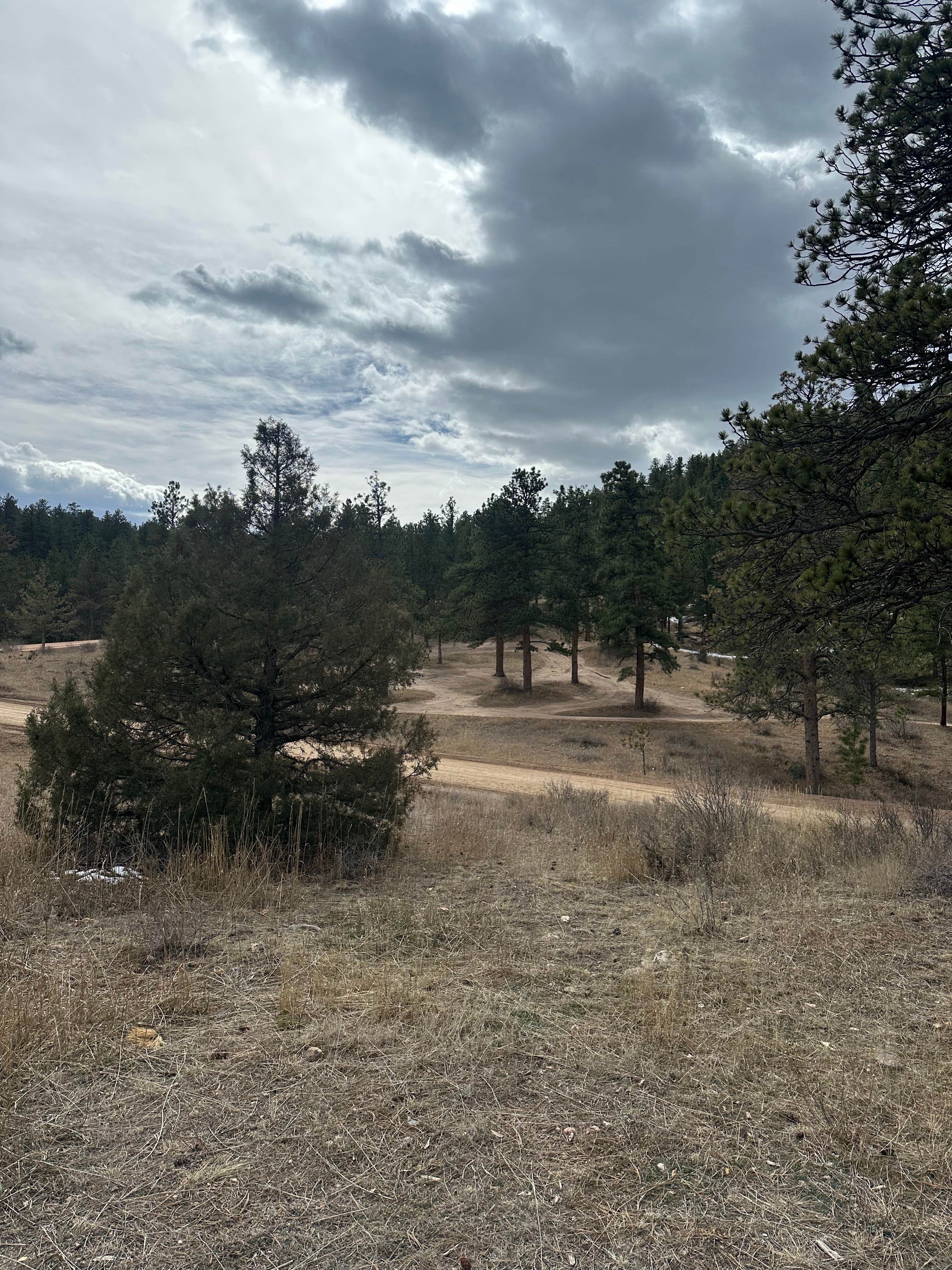 Camper-submitted photo at Poudre Canyon Road Camp near Red Feather Lakes, CO