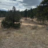 Review photo of Poudre Canyon Road Camp by Teresa A., March 18, 2026