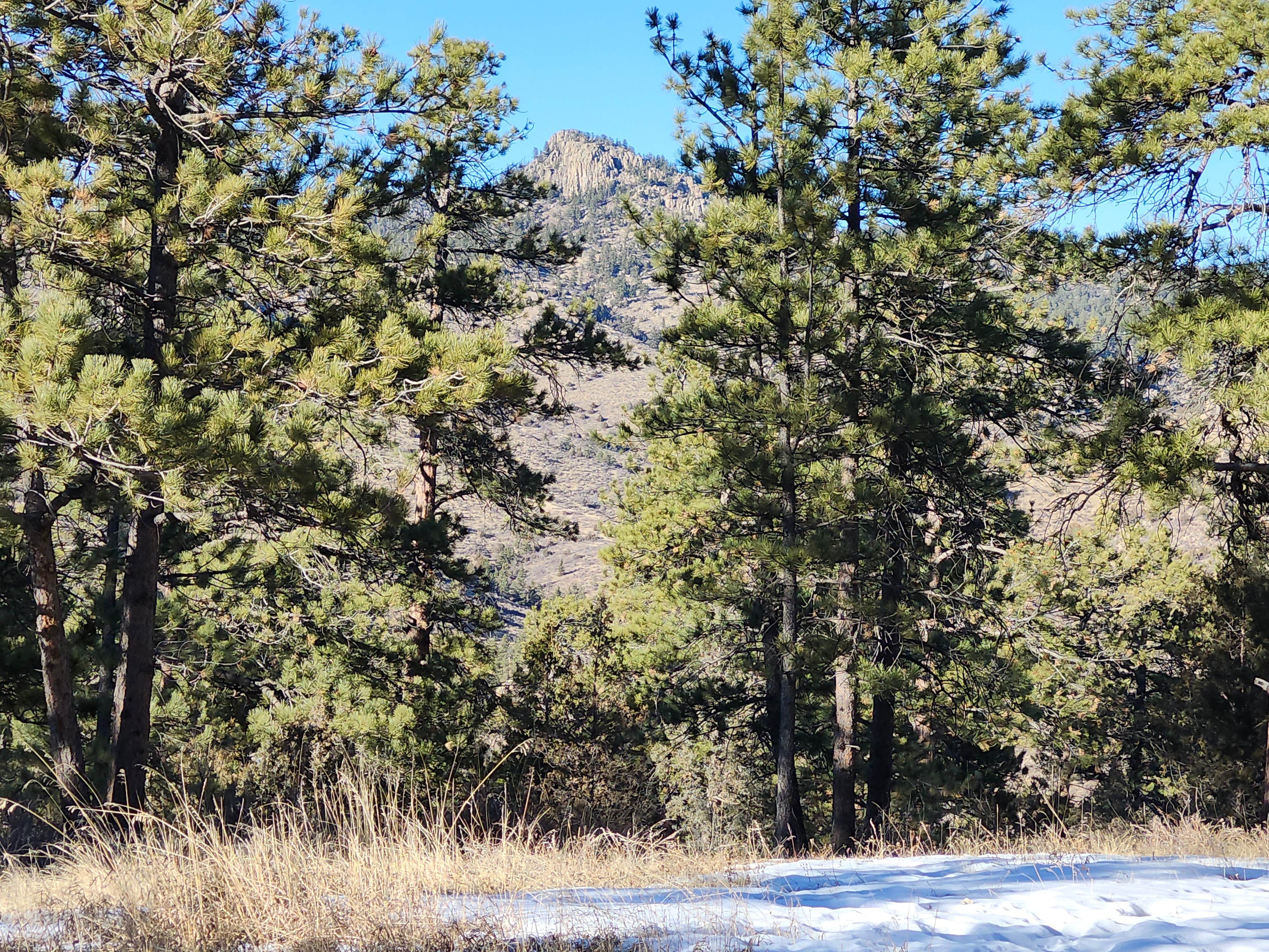 Camper-submitted photo at Poudre Canyon Road Camp near Bellvue, CO
