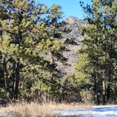 Review photo of Poudre Canyon Road Camp by Dave L., March 2, 2024