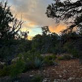 Review photo of Poverty Flat BLM Road #70 Dispersed Camping Area by Norah S., May 10, 2024