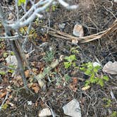 Review photo of Poverty Flat BLM Road #70 Dispersed Camping Area by Norah S., May 10, 2024