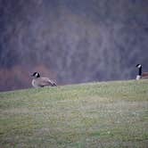 Review photo of Poverty Point Reservoir State Park Campground by Tyler H., January 12, 2025