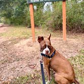 Review photo of Poverty Point Reservoir State Park Campground by J. Robert C., October 5, 2026