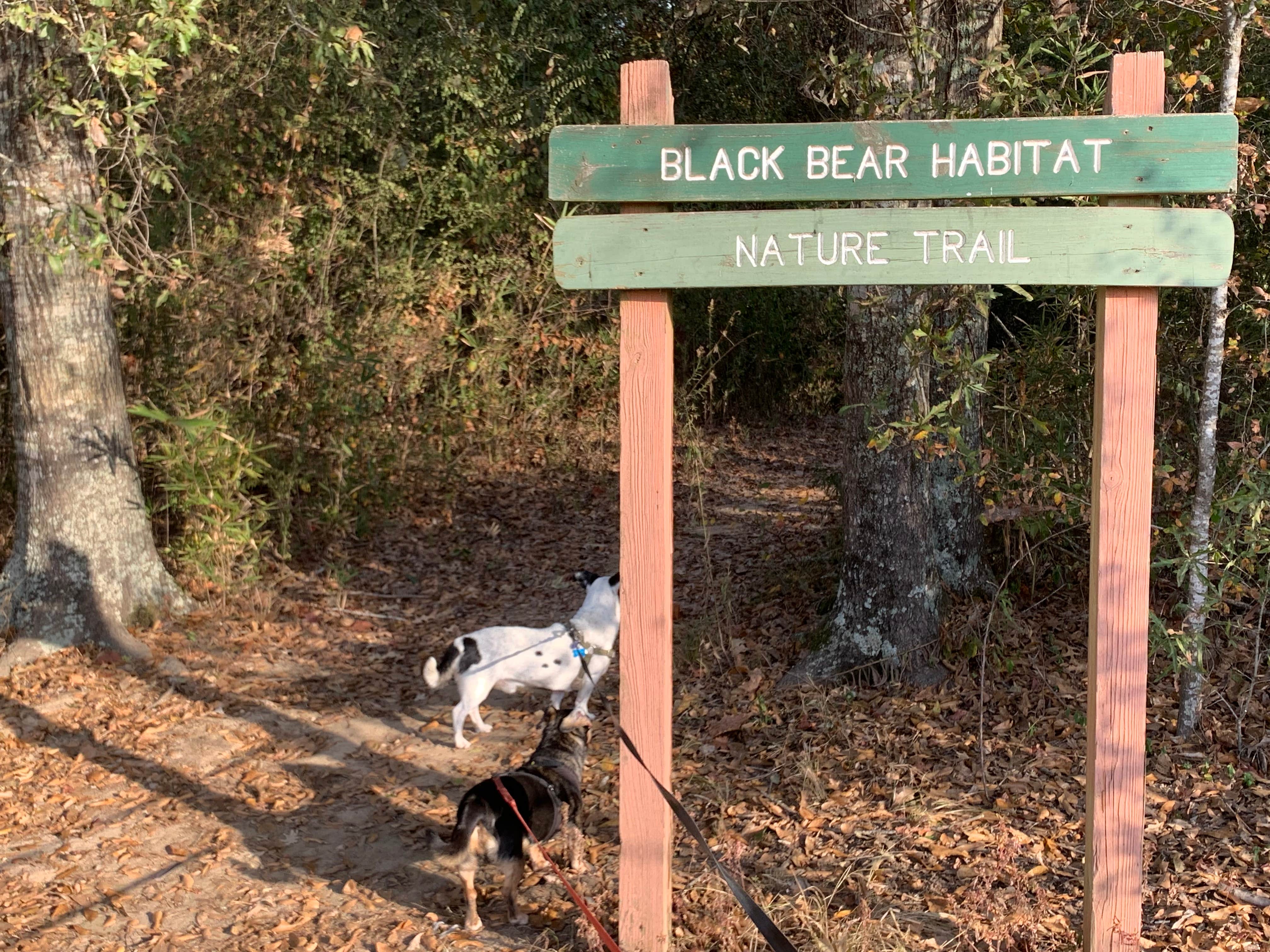 Shawn's photo of camping with pets at Poverty Point Reservoir State Park Campground near Fairbanks, LA