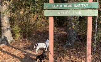 Shawn's photo of camping with pets at Poverty Point Reservoir State Park Campground near Columbia, LA