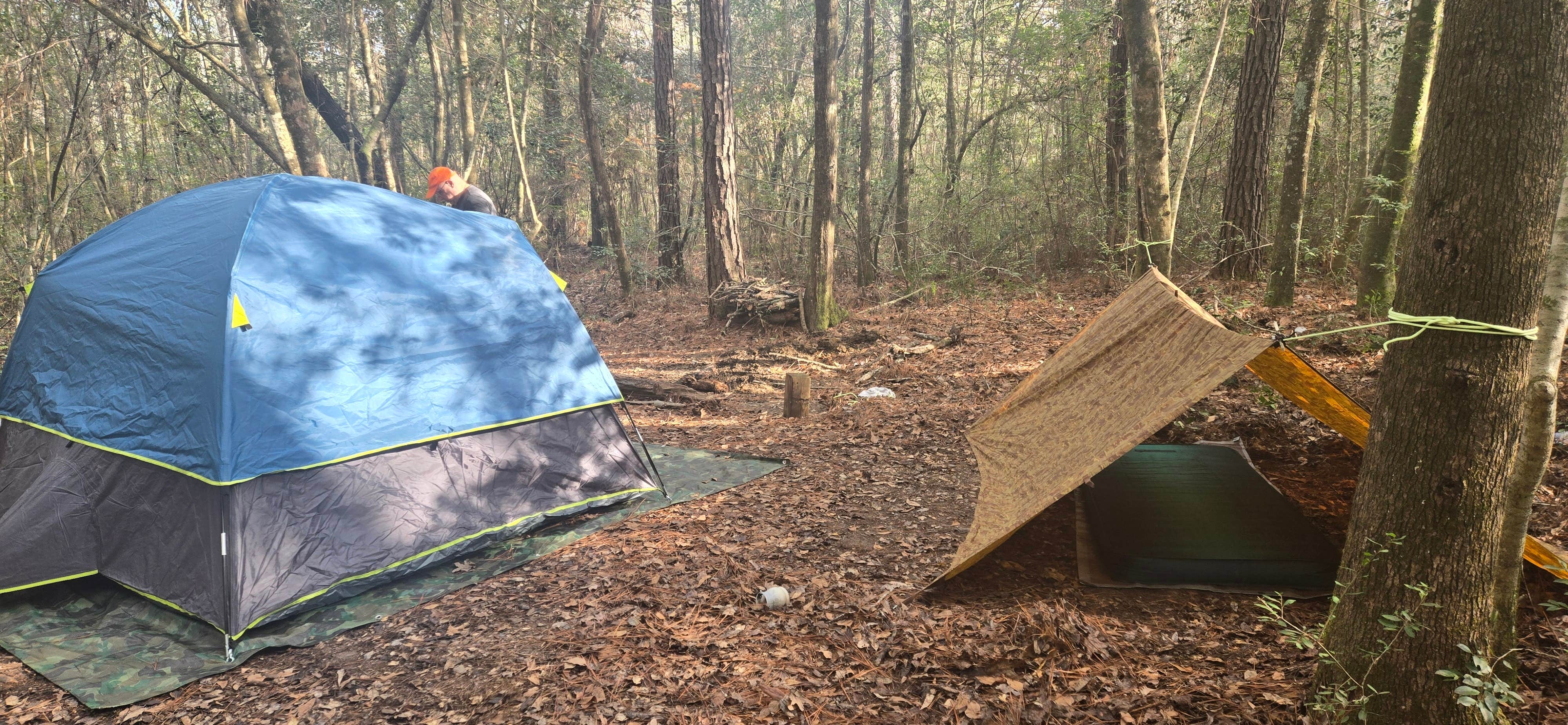 T. P.'s photo at POW camp near De Soto National Forest