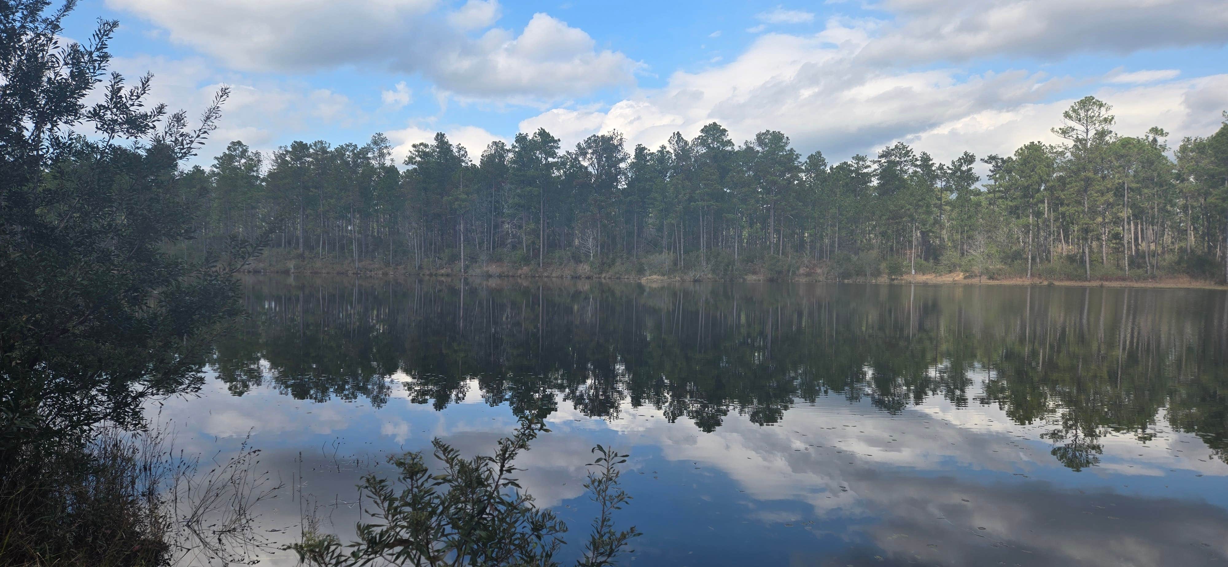 Camper submitted image from Pow Camp - 4