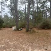 Review photo of Pow Camp by Jack D., December 18, 2025