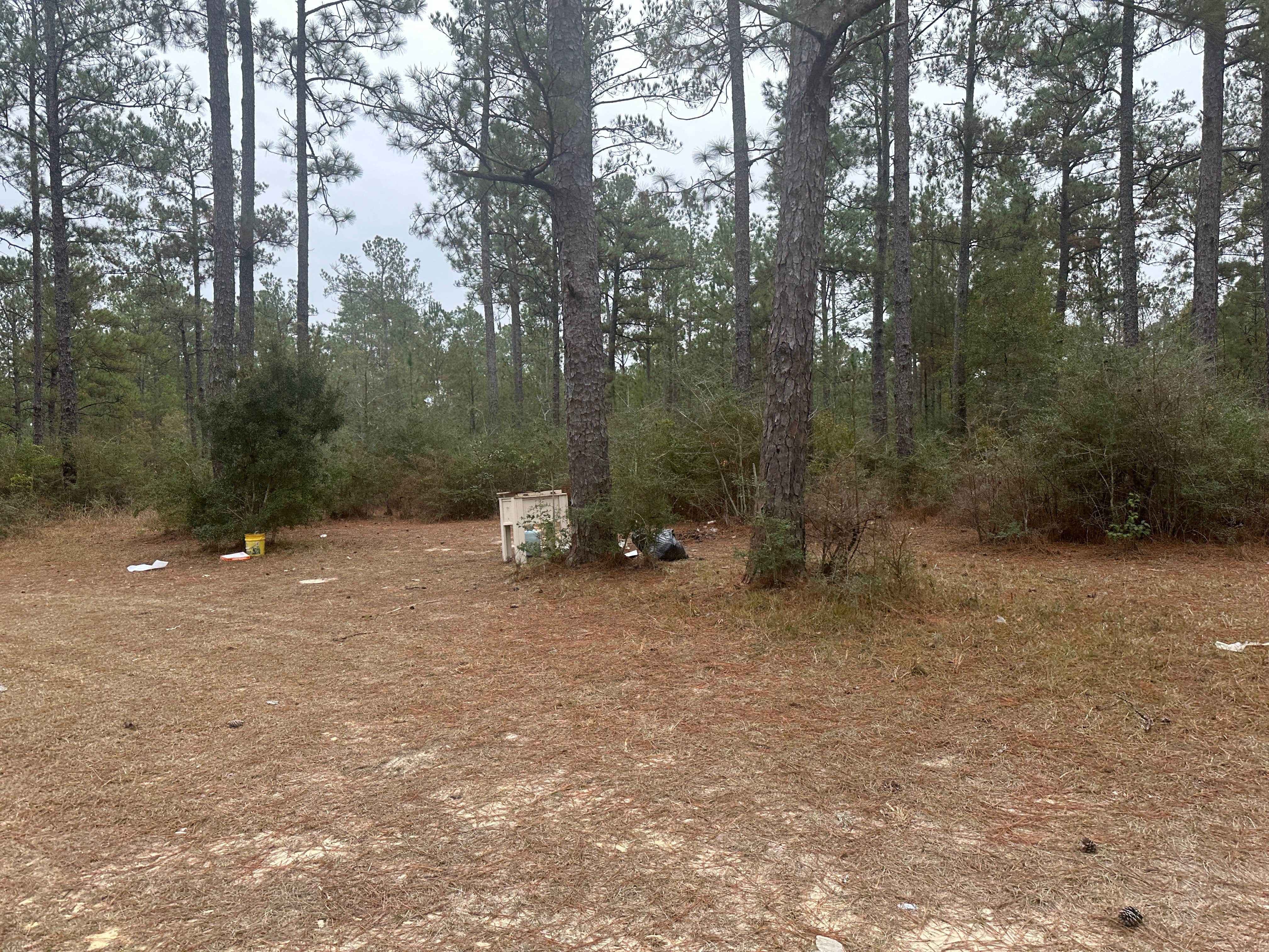 Camper submitted image from Pow Camp - 1