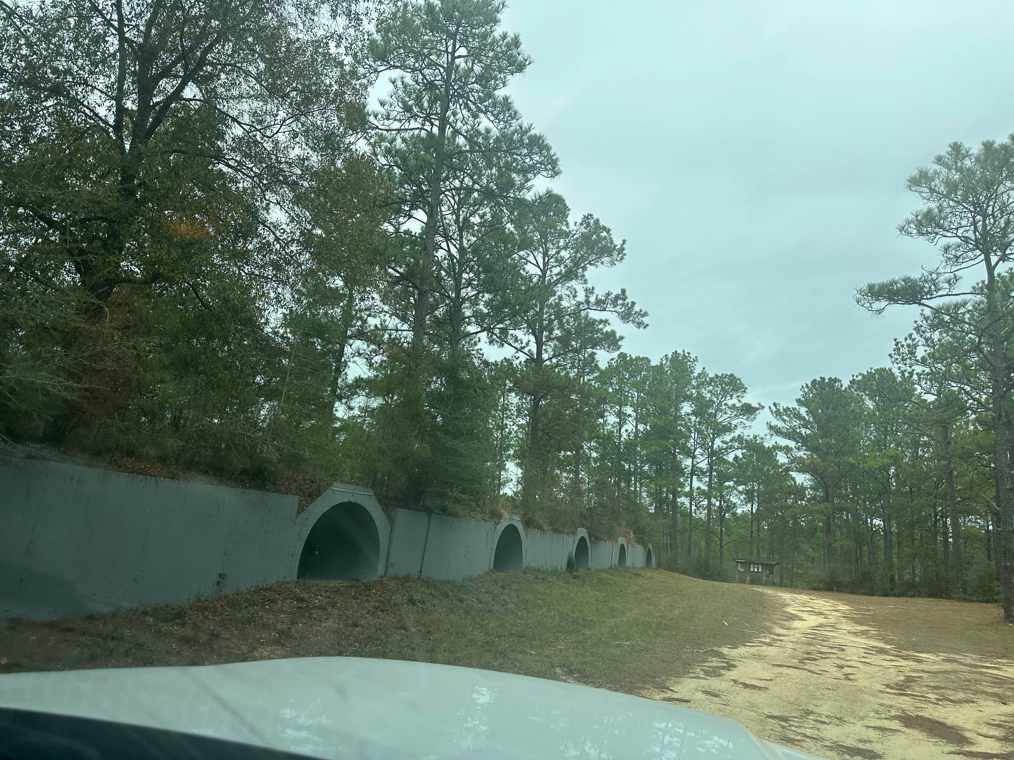 Camper-submitted photo at Pow Camp near Biloxi, MS