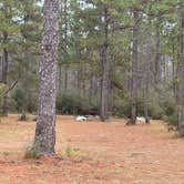 Review photo of Pow Camp by Jack D., December 18, 2025