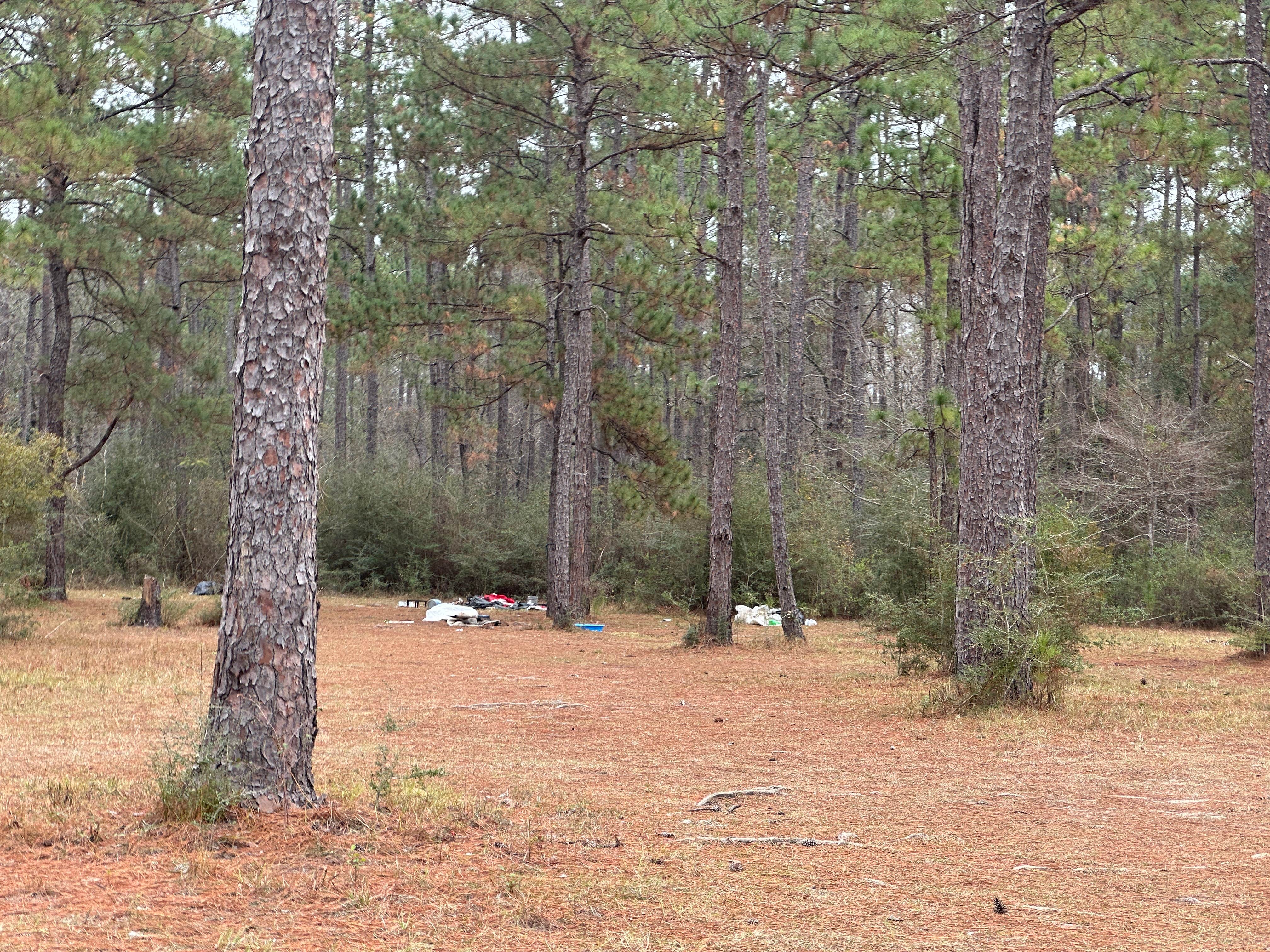 Camper submitted image from Pow Camp - 2