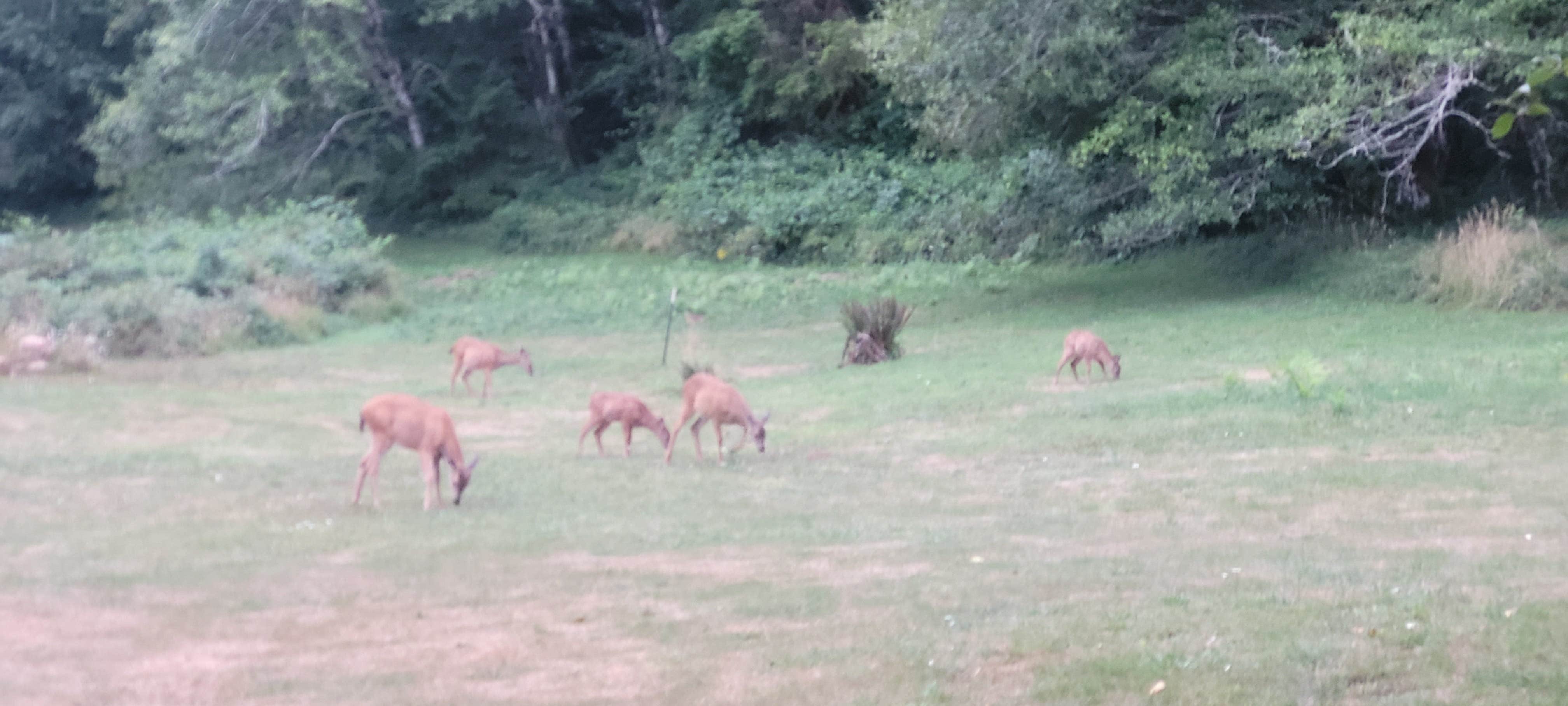 Camper-submitted photo at Powder Creek Campground near Willamina, OR
