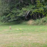 Review photo of Powder Creek Campground by Steve M., August 5, 2024