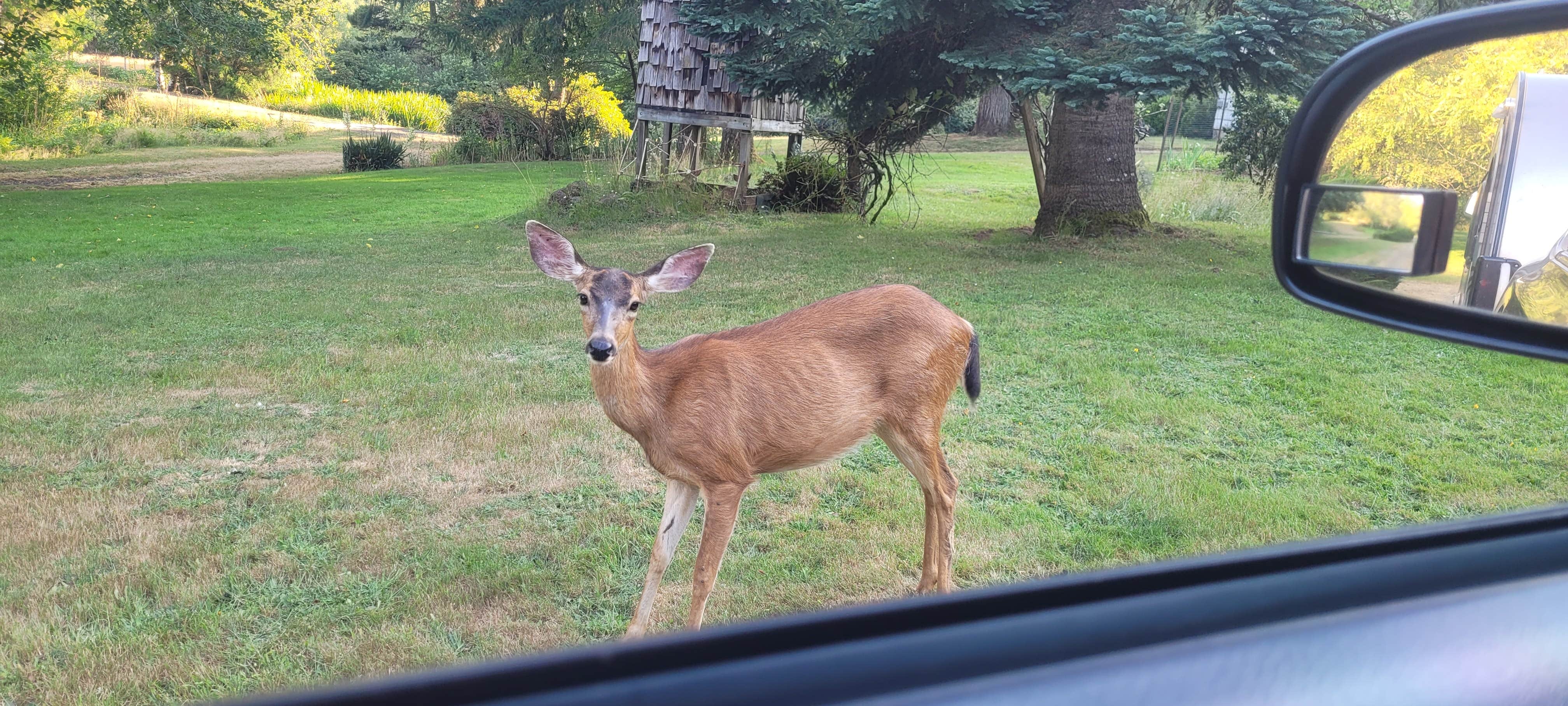 Camper-submitted photo at Powder Creek Campground near Willamina, OR