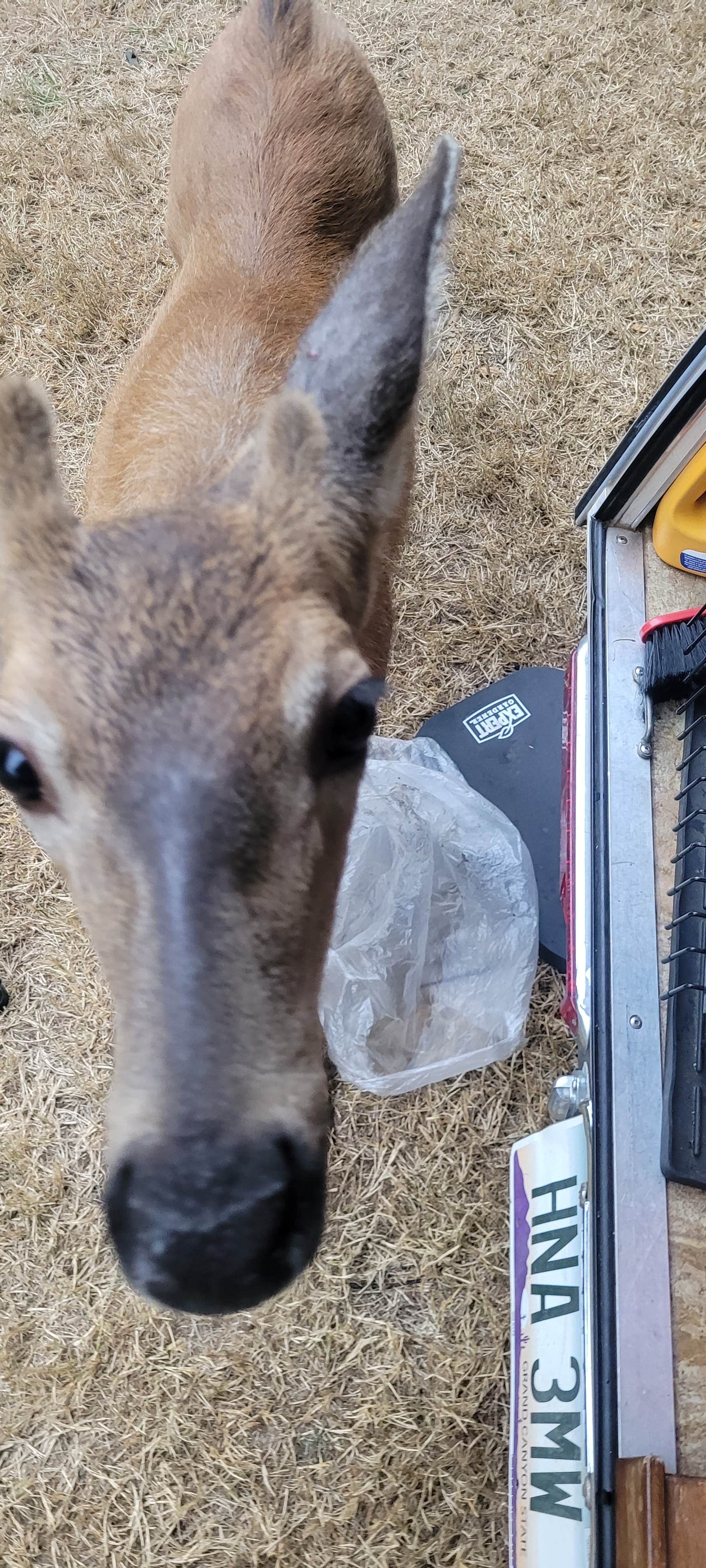 Camper submitted image from Powder Creek Campground - 2