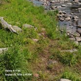 Review photo of Powell Campground by Michael G., August 26, 2026