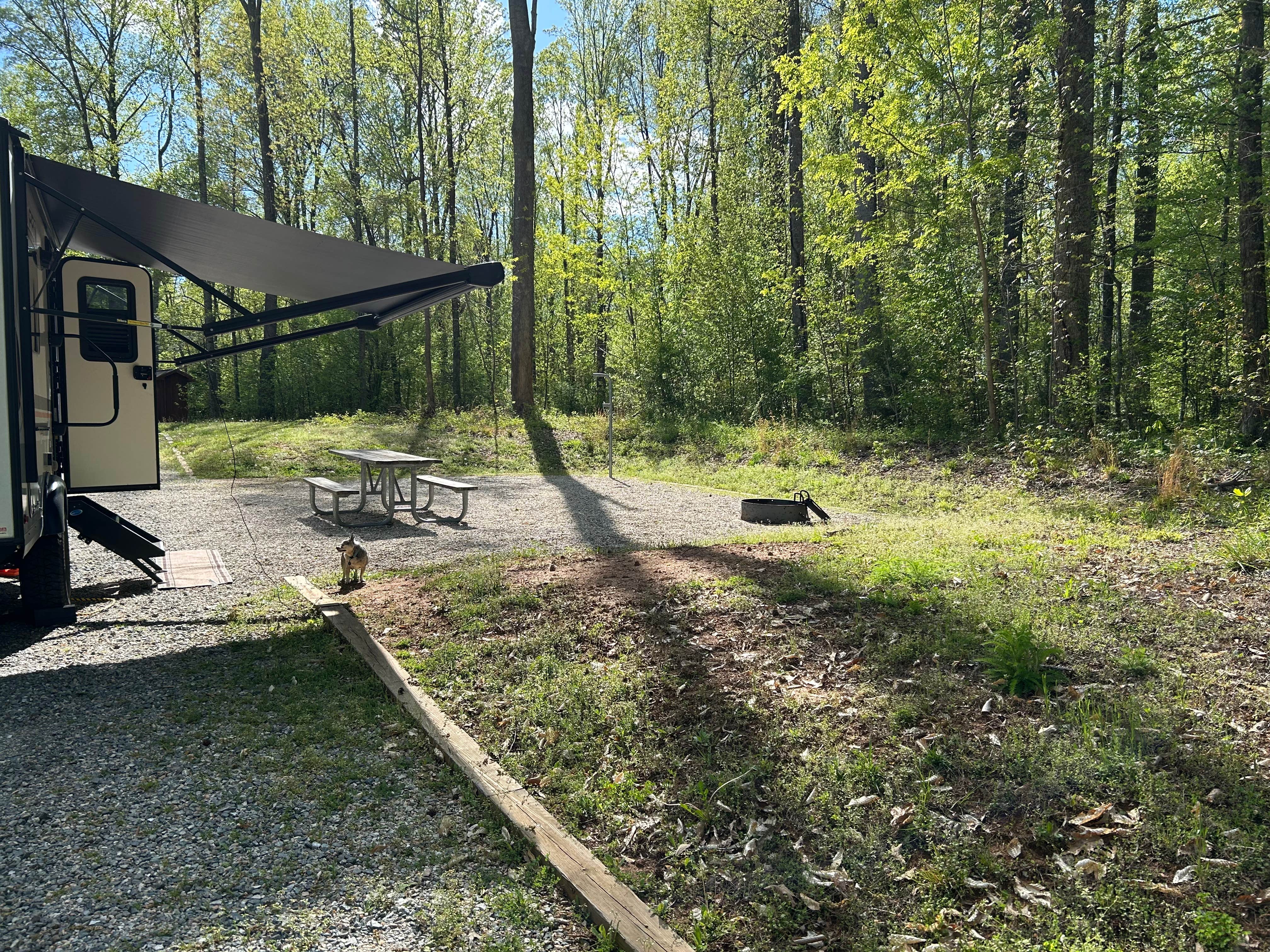 Jim L.'s photo of camping with pets at Powhatan State Park Campground near Hampden-Sydney, VA