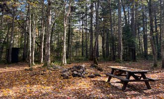Camping near West Canada Creek Campground: Powley Road in Ferris Wild Forest, Piseco, New York