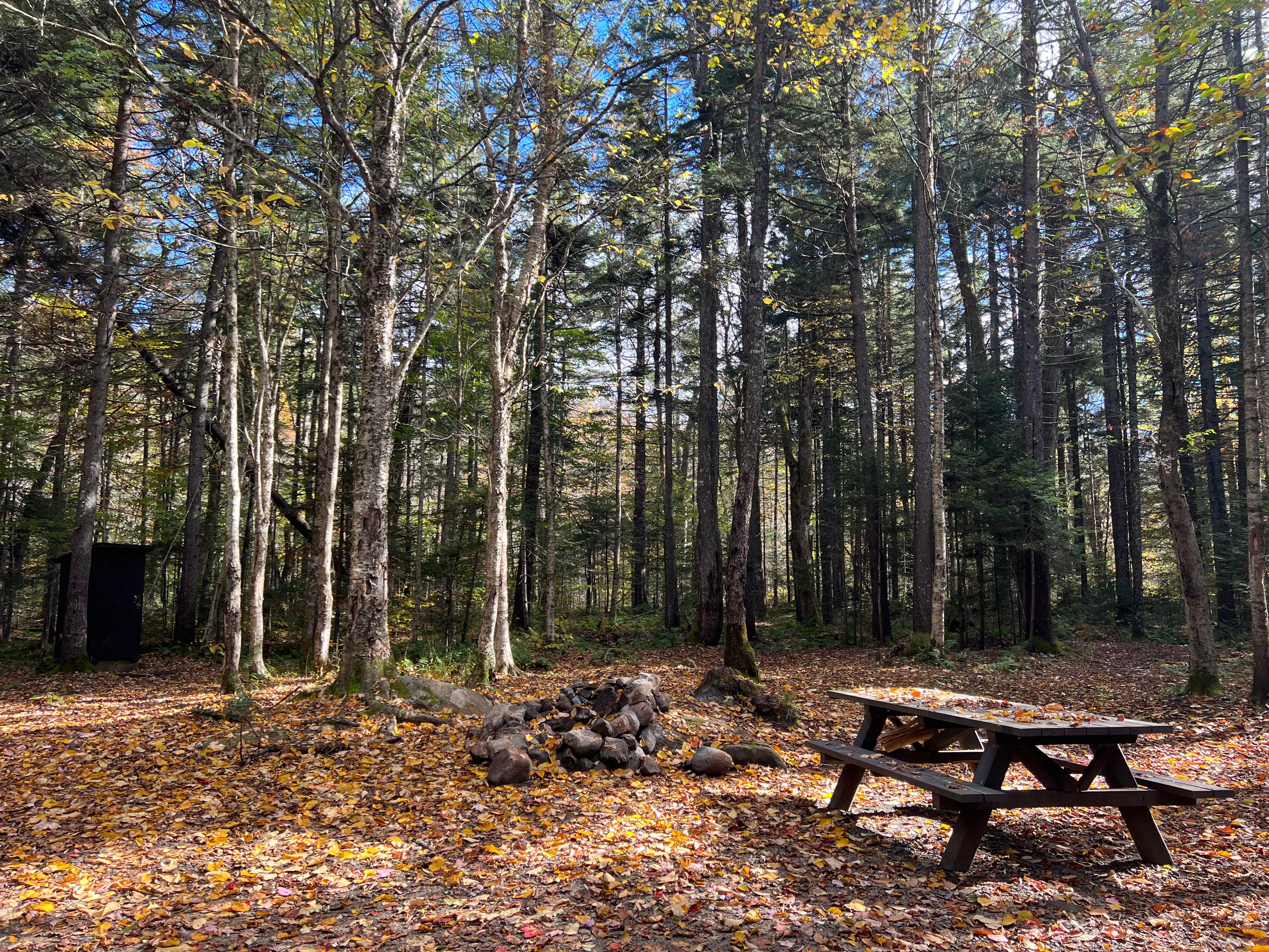 Camper submitted image from Powley Road in Ferris Wild Forest - 1