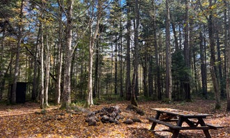 Camping near Spruce Creek Campground: Powley Road in Ferris Wild Forest, Piseco, New York