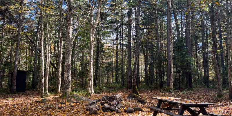 Camper submitted image from Powley Road in Ferris Wild Forest