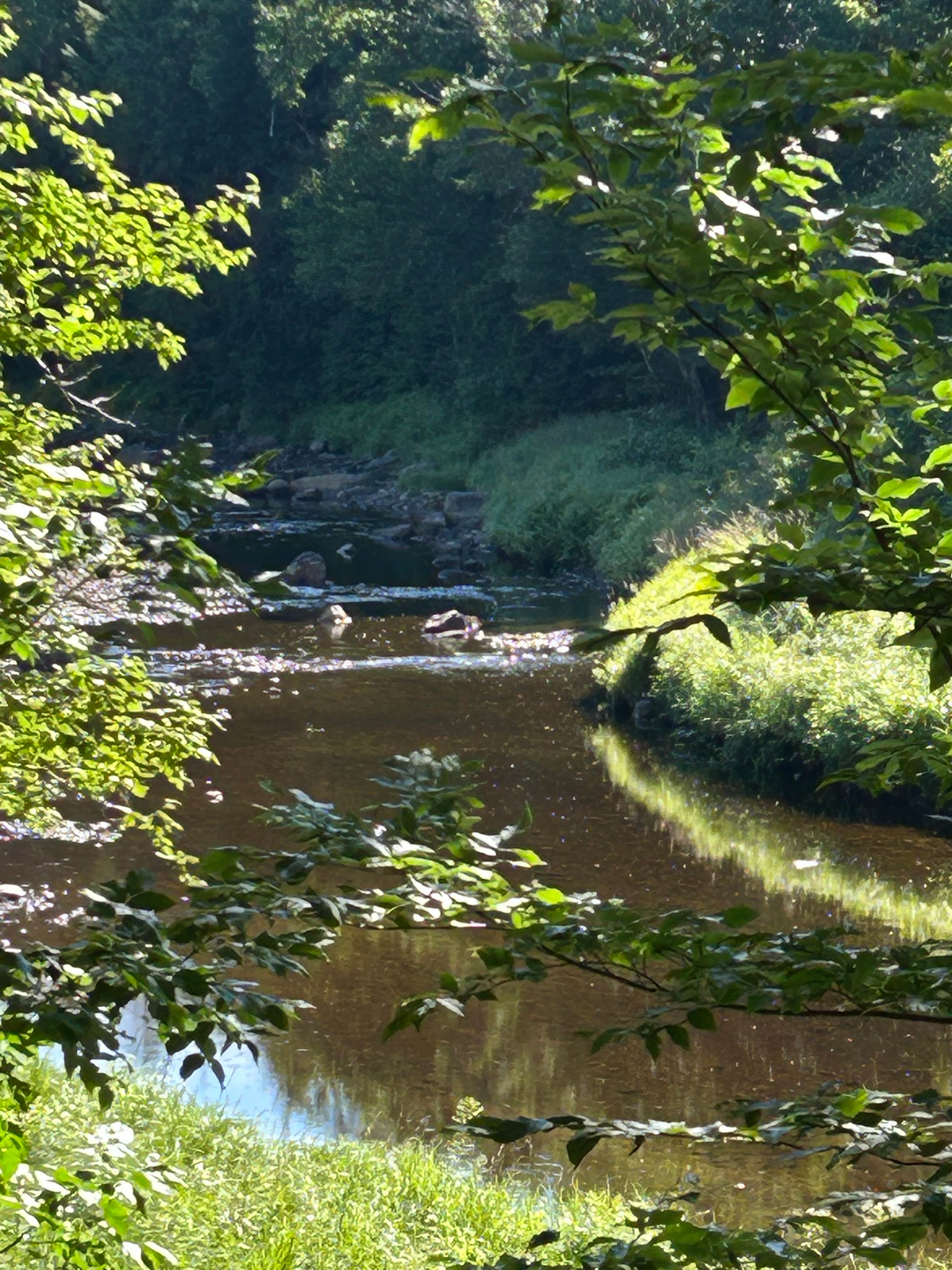 Camper-submitted photo at Powley Road in Ferris Wild Forest near Piseco, NY