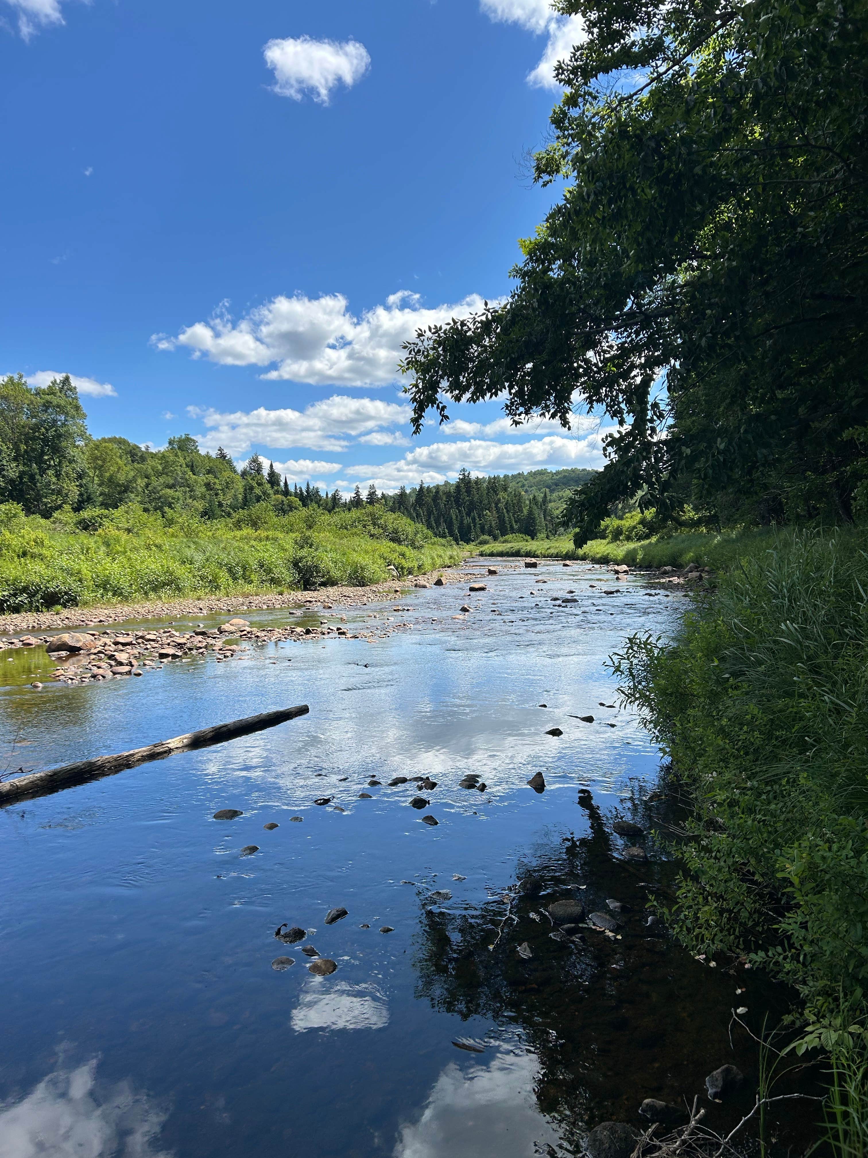 The L.'s photo of a dispersed camping area at Powley Road in Ferris Wild Forest near Warrensburg, NY
