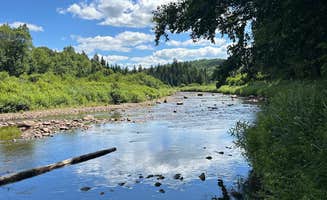 The L.'s photo of a dispersed camping area at Powley Road in Ferris Wild Forest near Stony Creek, NY