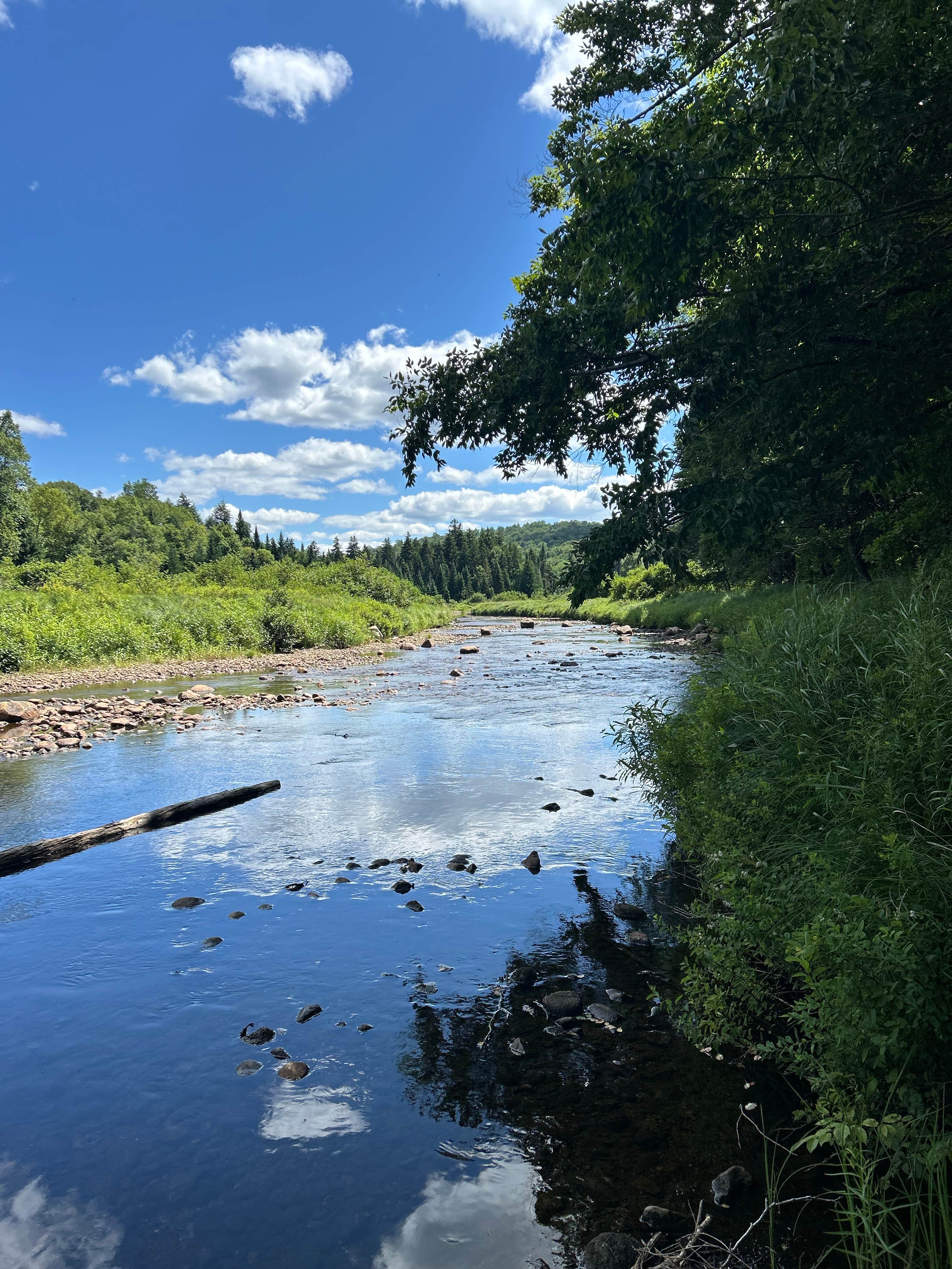 Camper-submitted photo at Powley Road in Ferris Wild Forest near Piseco, NY