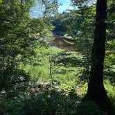 Review photo of Powley Road in Ferris Wild Forest by The L., August 4, 2025