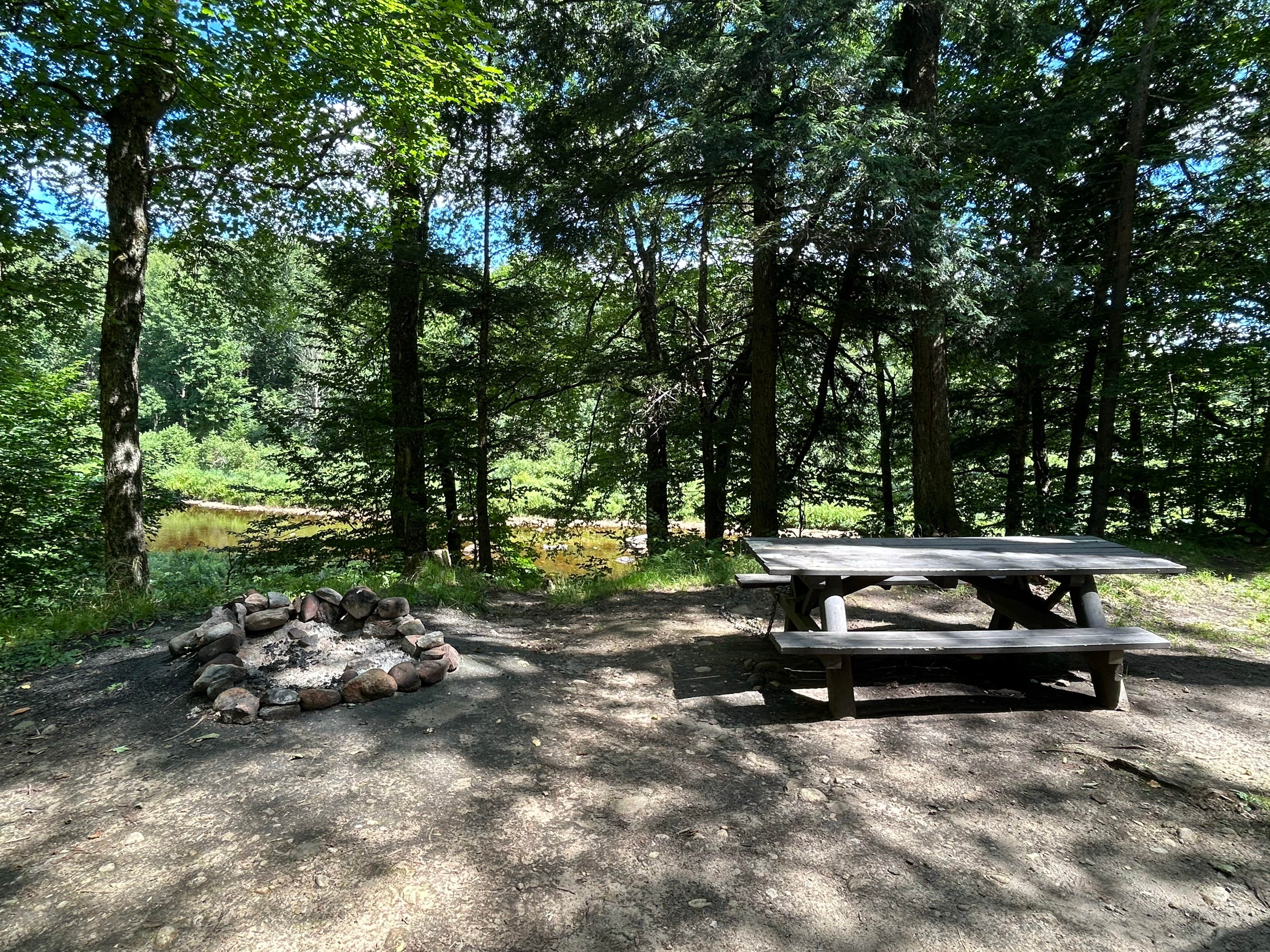Camper submitted image from Powley Road in Ferris Wild Forest - 2