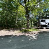 Review photo of Powley Road in Ferris Wild Forest by The L., August 4, 2025
