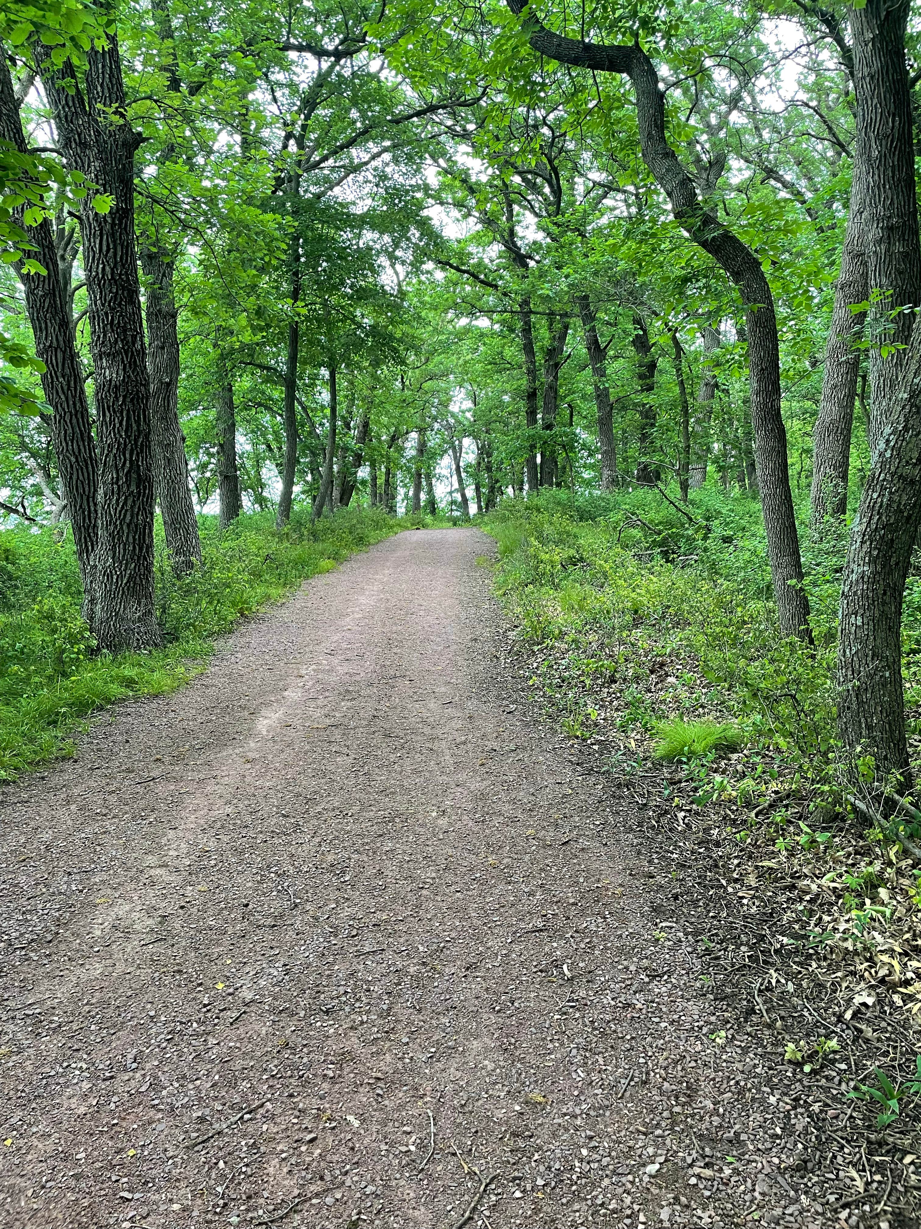 Camper-submitted photo at Prairie Campground — Lake Shetek State Park near Currie, MN