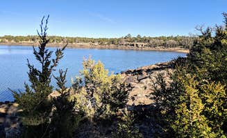 Shane W.'s photo of a dispersed camping area at Pratt Lake Dispersed near St. Johns, AZ