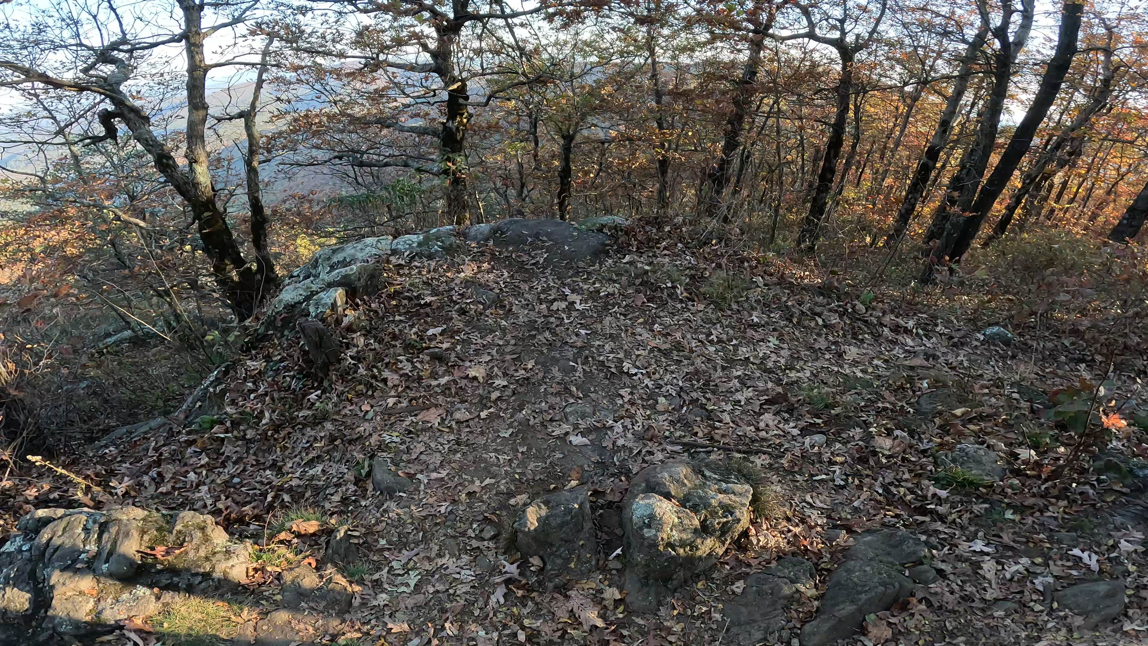 Camper-submitted photo at Preacher's Rock near Lake Sidney Lanier