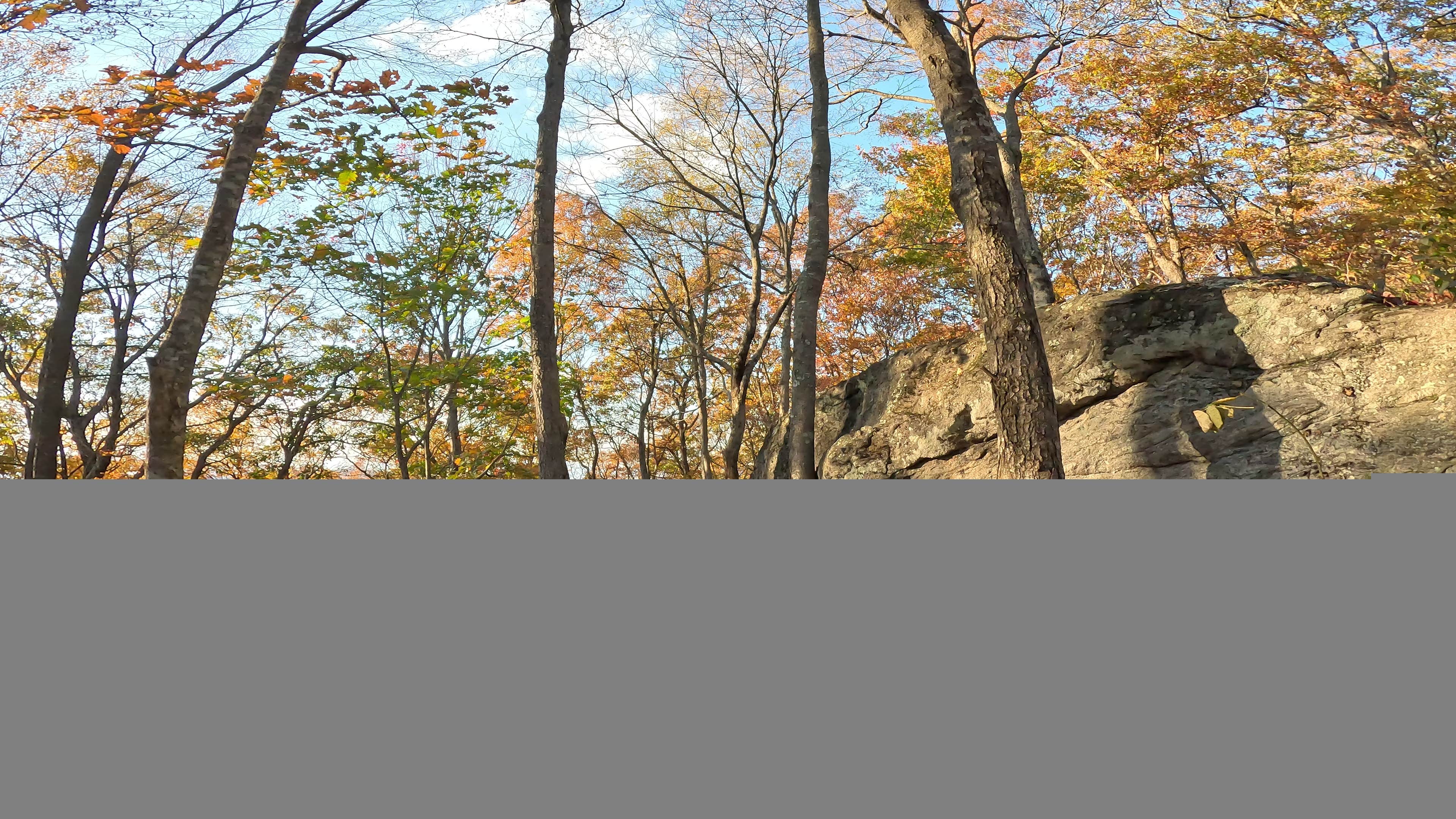Camper-submitted photo at Preacher's Rock near Lake Sidney Lanier