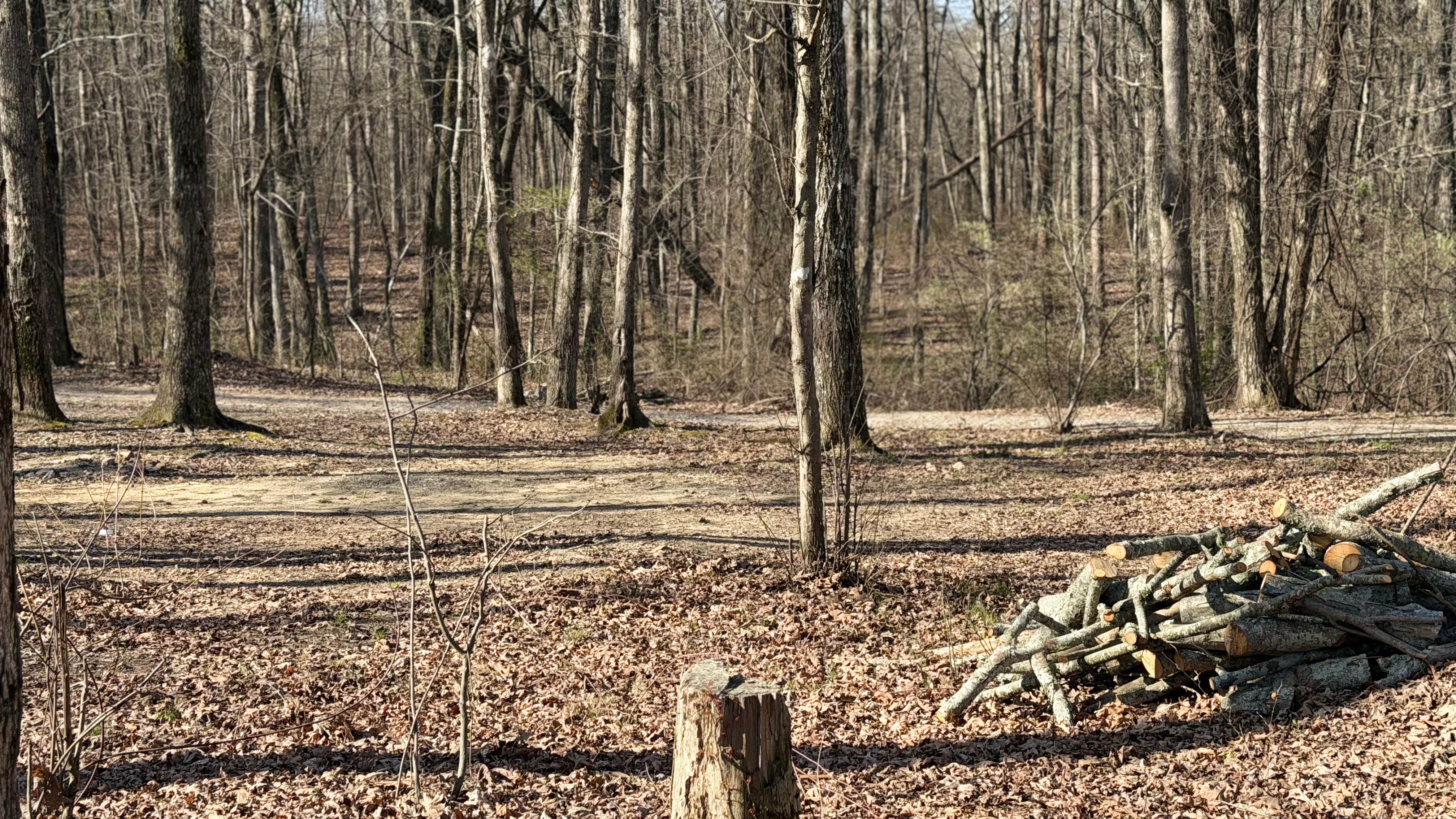 Camping near River Life RV Resort: Prentice Cooper State Forest Camp, Signal Mountain, Tennessee