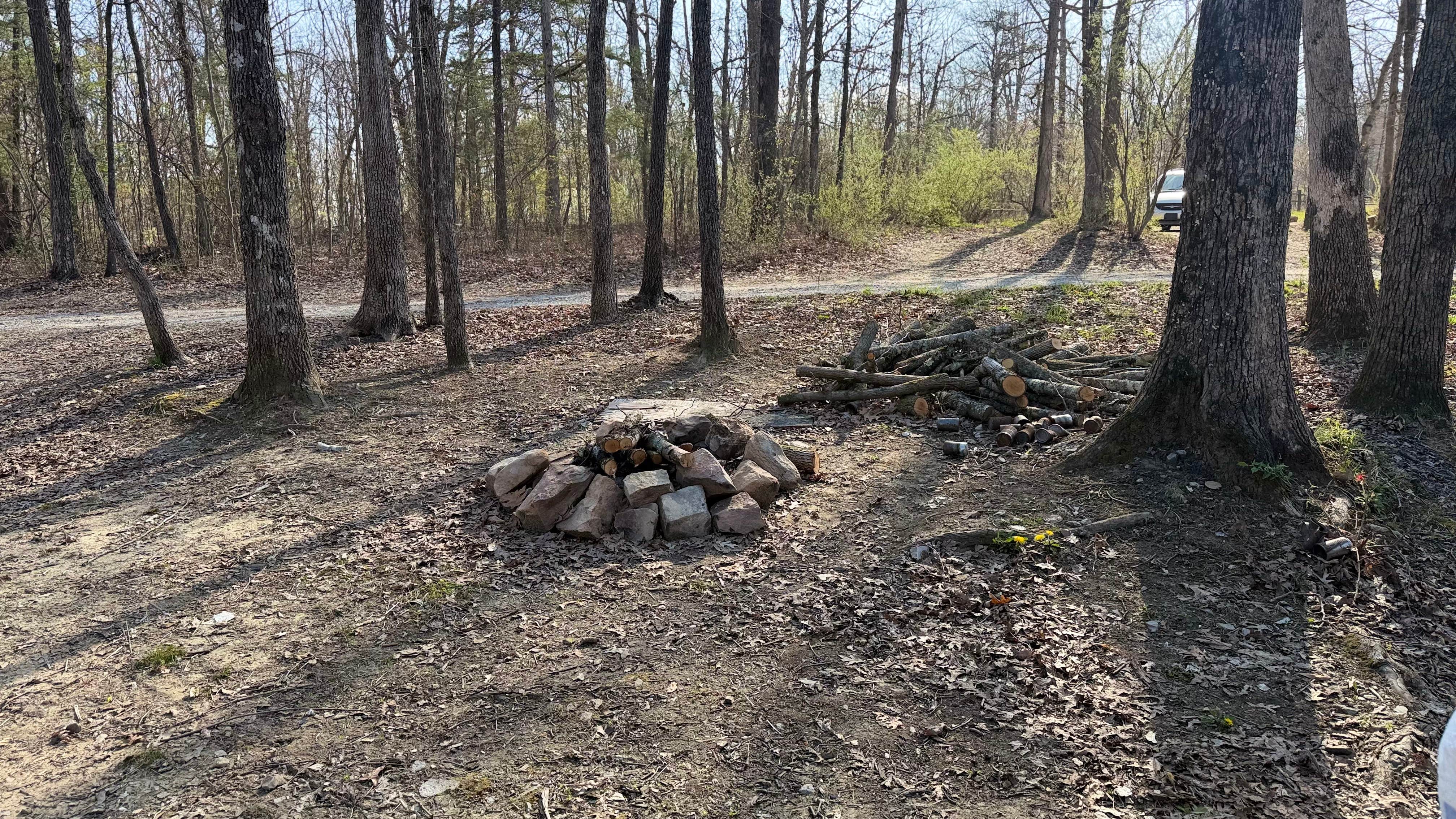 Camper-submitted photo at Prentice Cooper State Forest Camp near Manchester, TN