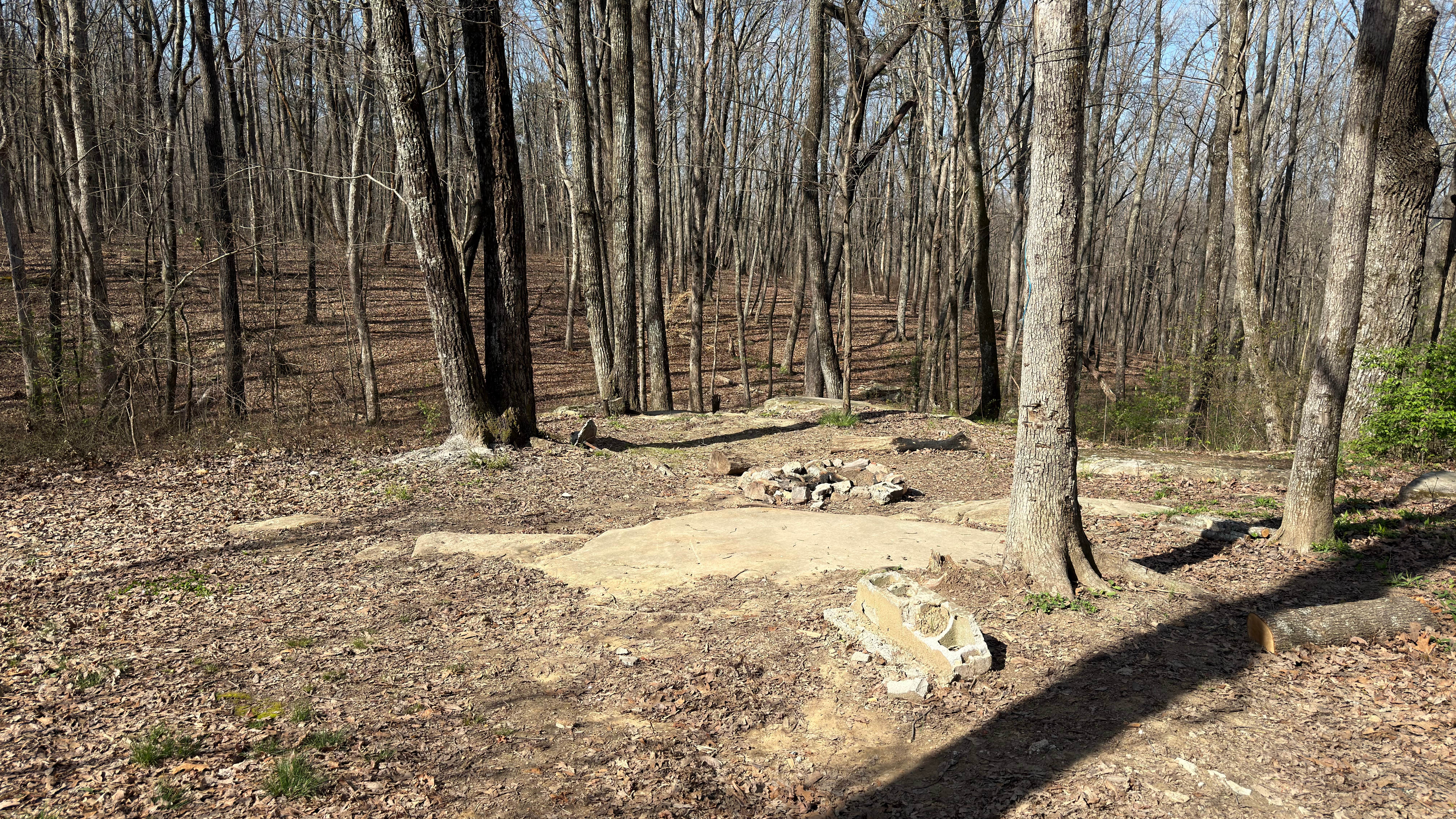 Camper-submitted photo at Prentice Cooper State Forest Camp near Manchester, TN