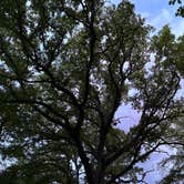 Review photo of Preparation Canyon State Park Campground by Jackson M., May 24, 2026