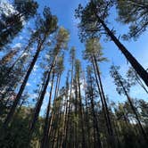 Review photo of Prescott Basin by Kameron F., April 11, 2026