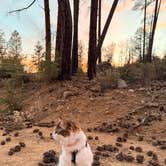 Review photo of Prescott Basin by Bobbii J., January 1, 2026