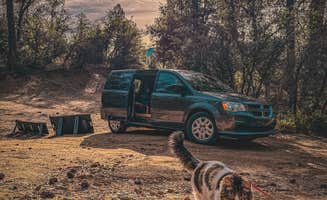 Bobbii J.'s photo of camping with pets at Prescott Basin near Crown King, AZ