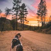 Review photo of Prescott Basin by Bobbii J., January 1, 2026