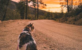 Bobbii J.'s photo of a dispersed camping area at Prescott Basin near Prescott, AZ