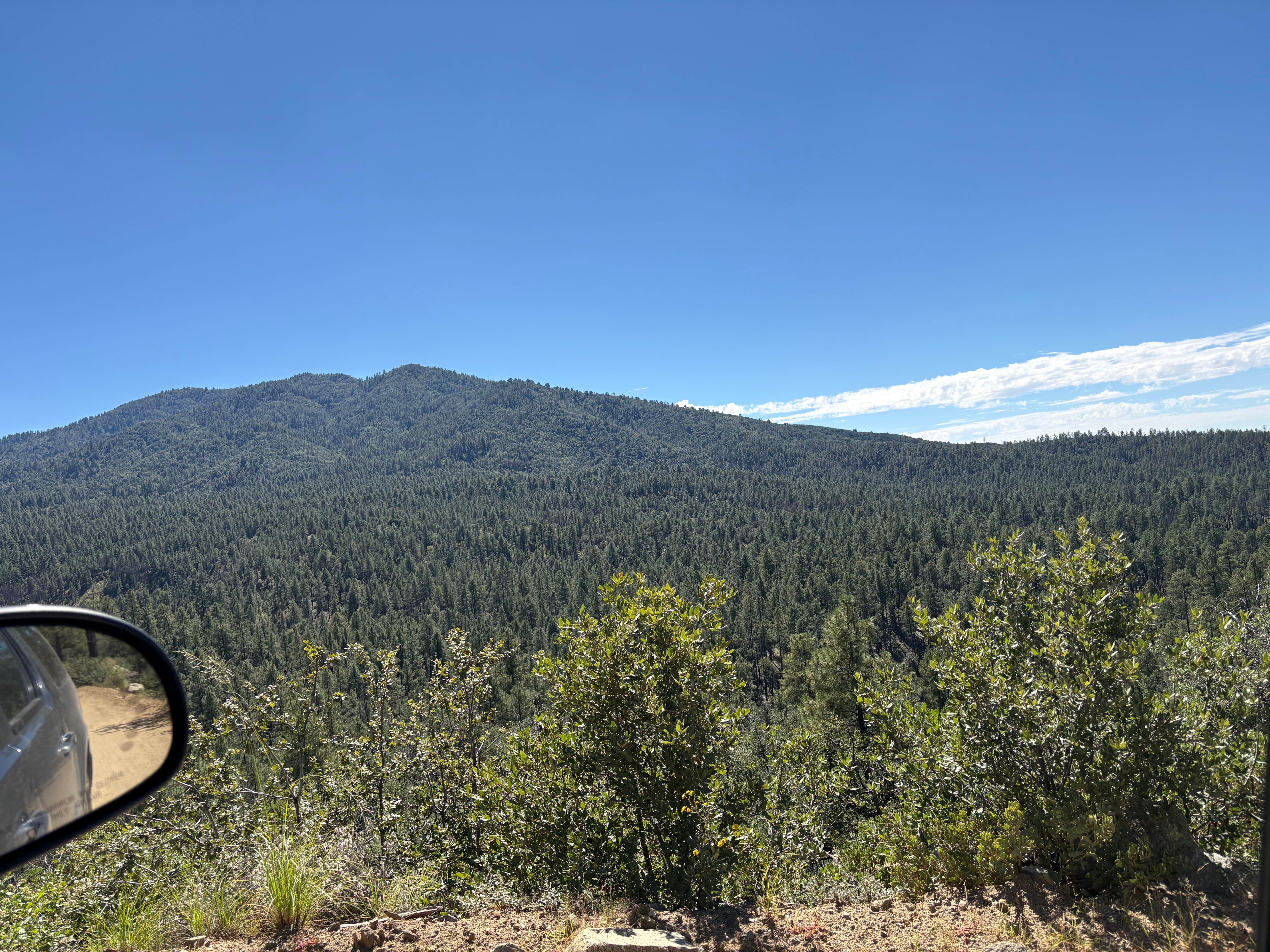 Camping near Wolf Creek Road Camp: Prescott Basin, Prescott National Forest, Arizona