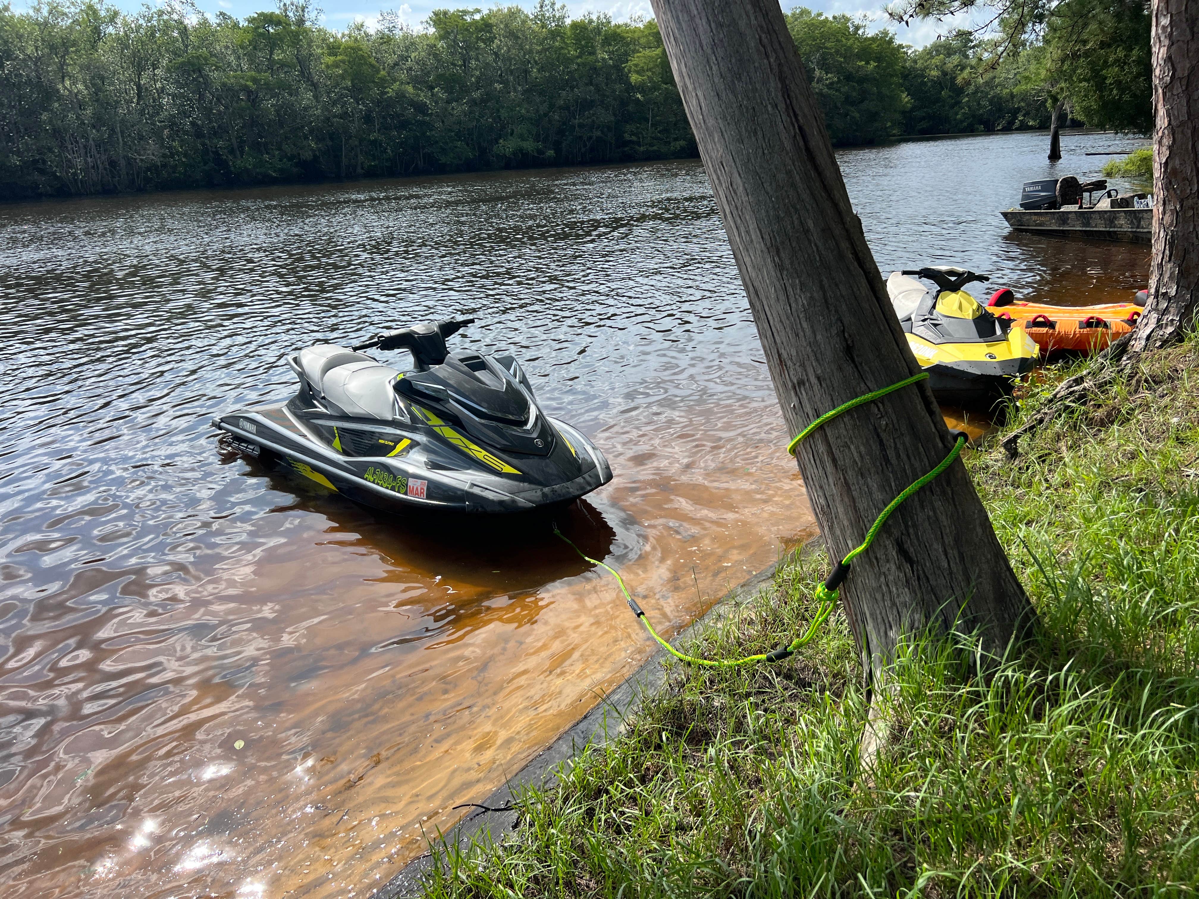 Camper-submitted photo at Presley's Outing near Moss Point, MS