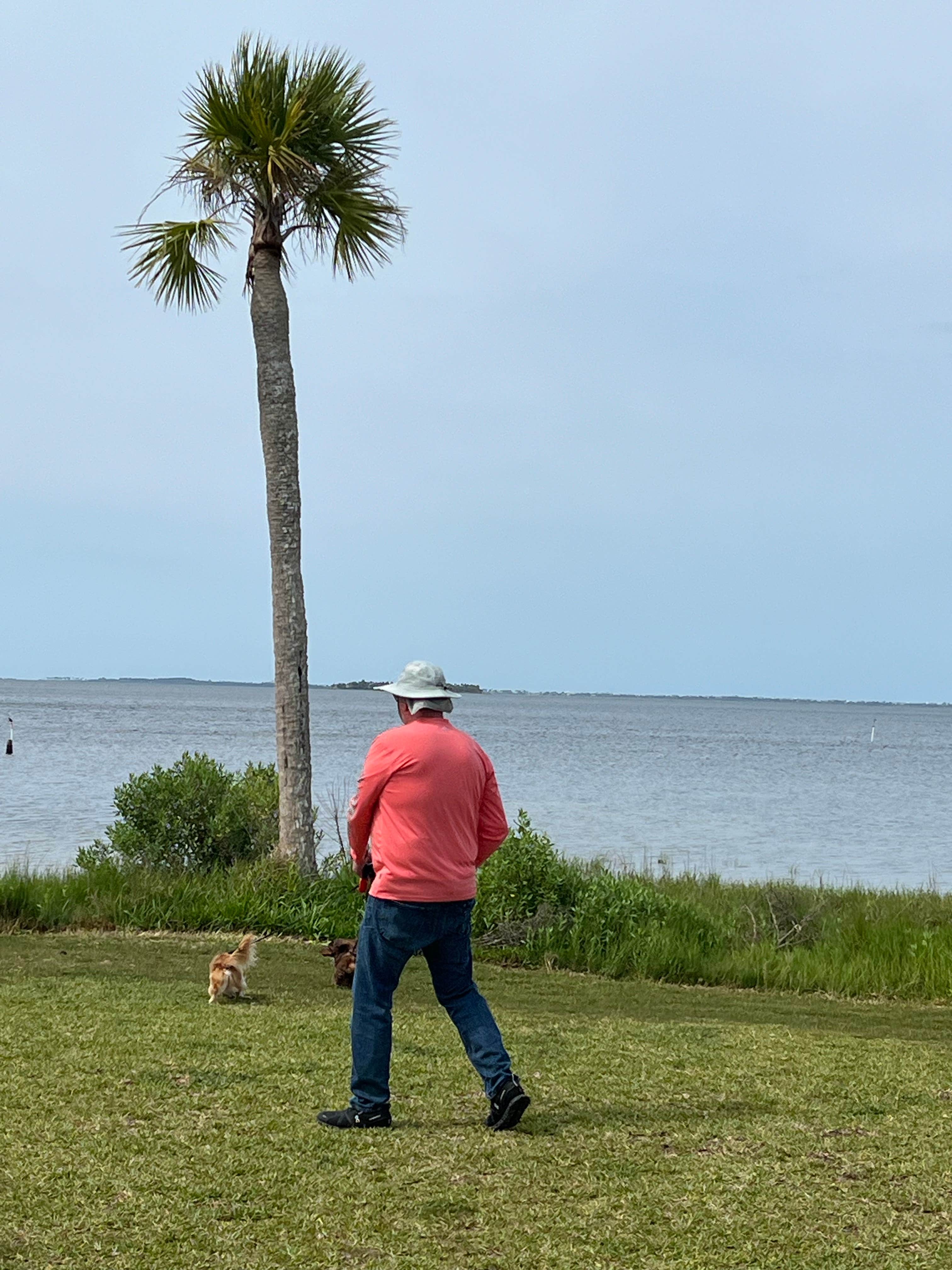 Camper-submitted photo at Presnell's Bayside Marina and RV Resort near Port St. Joe, FL